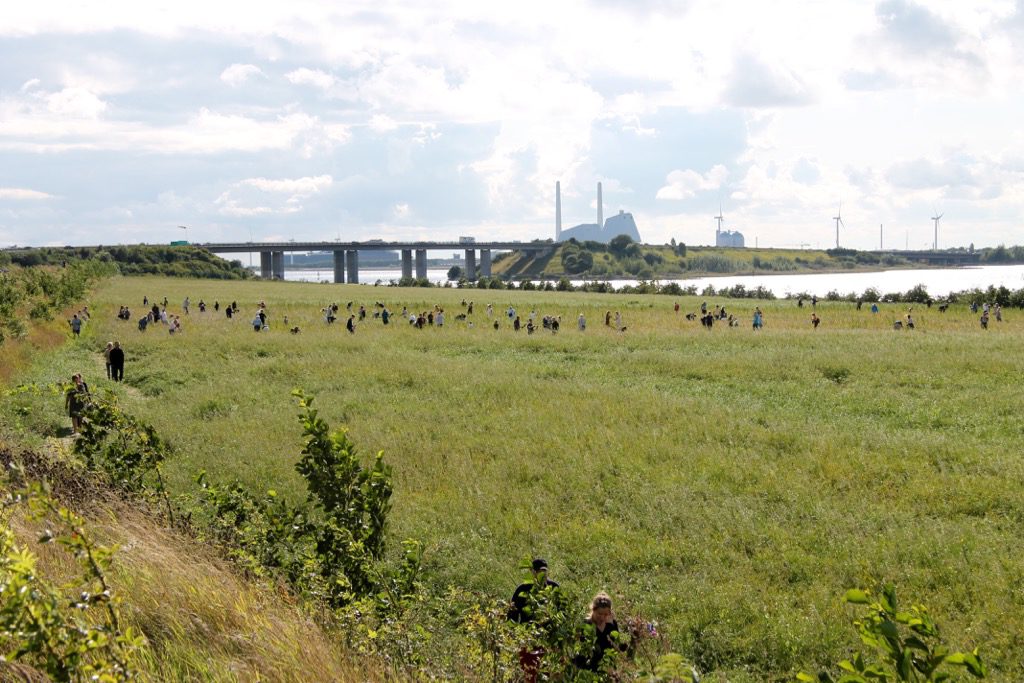 Blomster Selinevej København