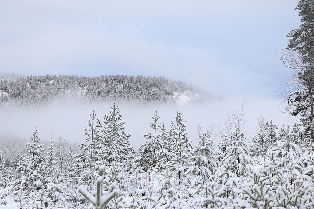 Vinterlandskab i Norge, Telemarken