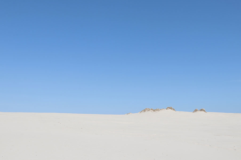 Råbjerg Mile: Billeder fra vores smukke nordiske ørken