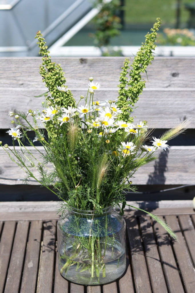 Vejsideblomster - pluk din egen vilde buket, gode råd og regler