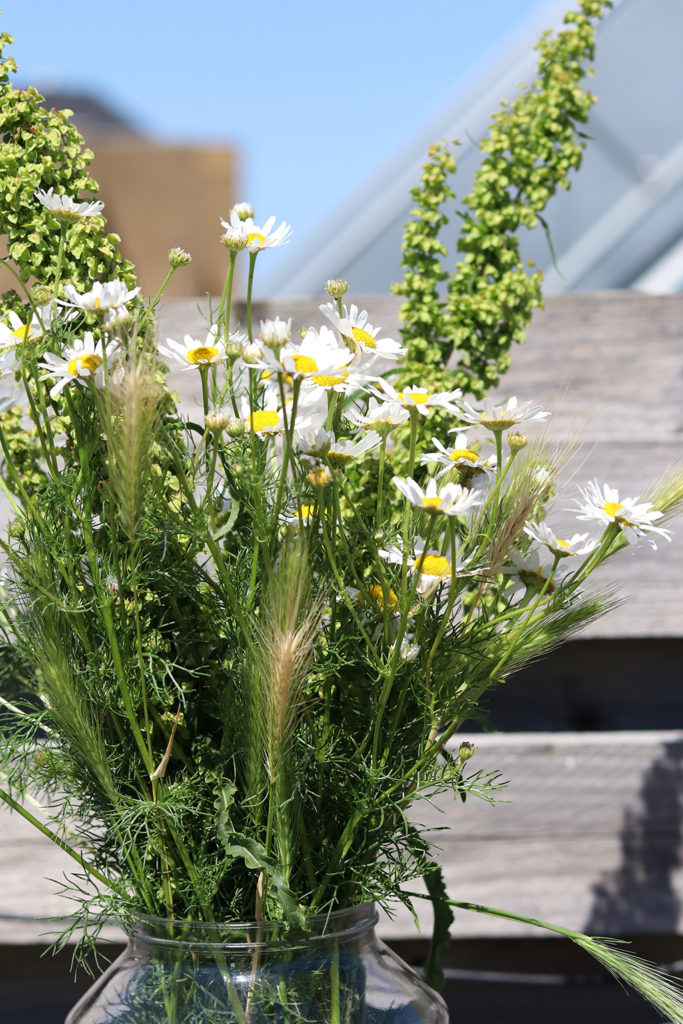 Vejsideblomster - pluk din egen vilde buket, gode råd og regler