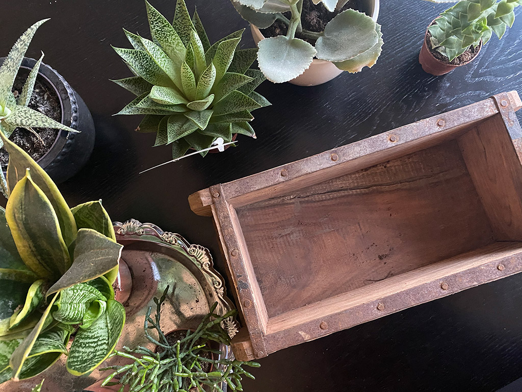 DIY sammenplantning i murstensform - få styr på dine små sukkulenter