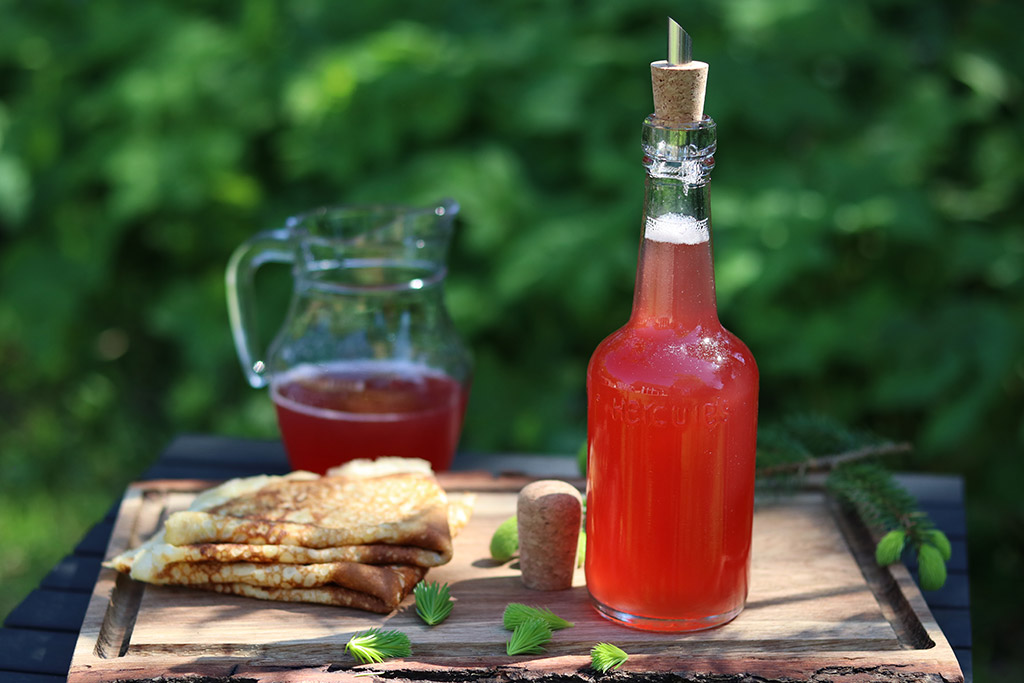 Gransirup - nem opskrift på sirup af nye granskud